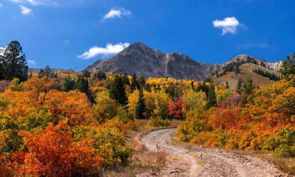 Wolf Creek Lodge Condo In Eden, Ut - Relaxing Mountain Retreat Εξωτερικό φωτογραφία