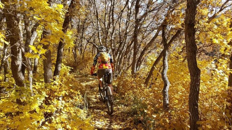 Wolf Creek Lodge Condo In Eden, Ut - Relaxing Mountain Retreat Εξωτερικό φωτογραφία